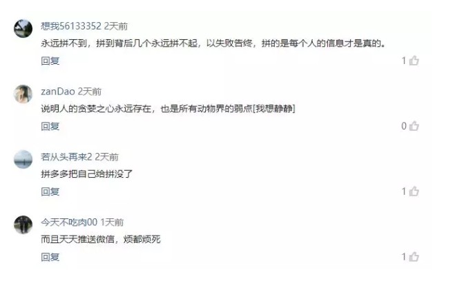 拼多多的关键时刻来了！新增用户暴跌七成！_零售_电商报