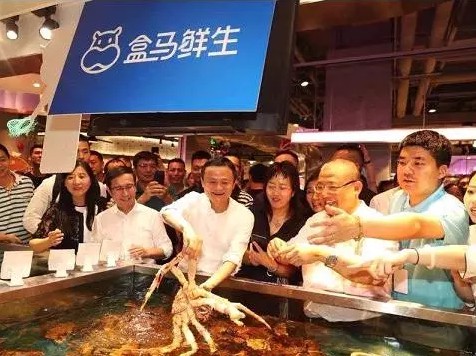 3年砍下140亿，阿里新锐大将的铁血江湖！_行业观察_电商报