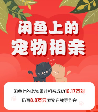 闲鱼：已有超16万对宠物在闲鱼上“相亲”成功_零售_电商报