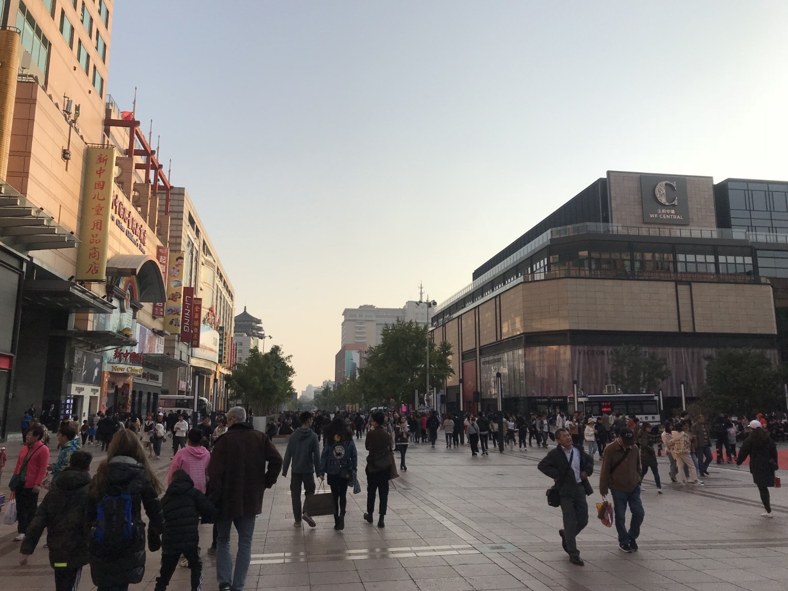 我国五年内要建成一批国际消费中心城市 哪些地方有潜力？-中国商网