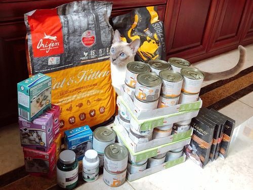 我国拥有宠物猫狗数量位居世界第一 宠物食品市场前景如何-中国商网