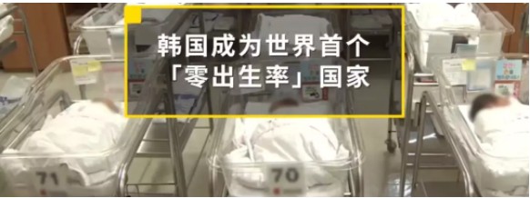 触目惊心！一场巨大危机正在这里上演！_行业观察_电商报