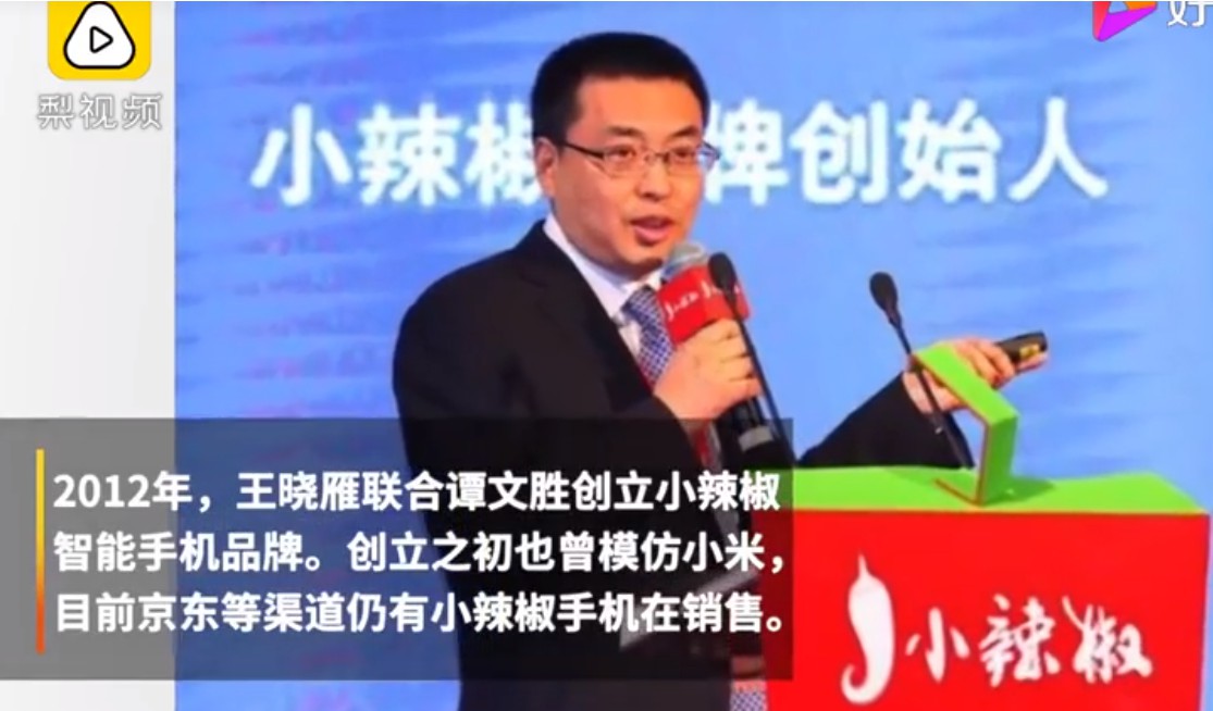 王晓雁接手小米电商业务 雷军的“张勇”来了！_零售_电商报
