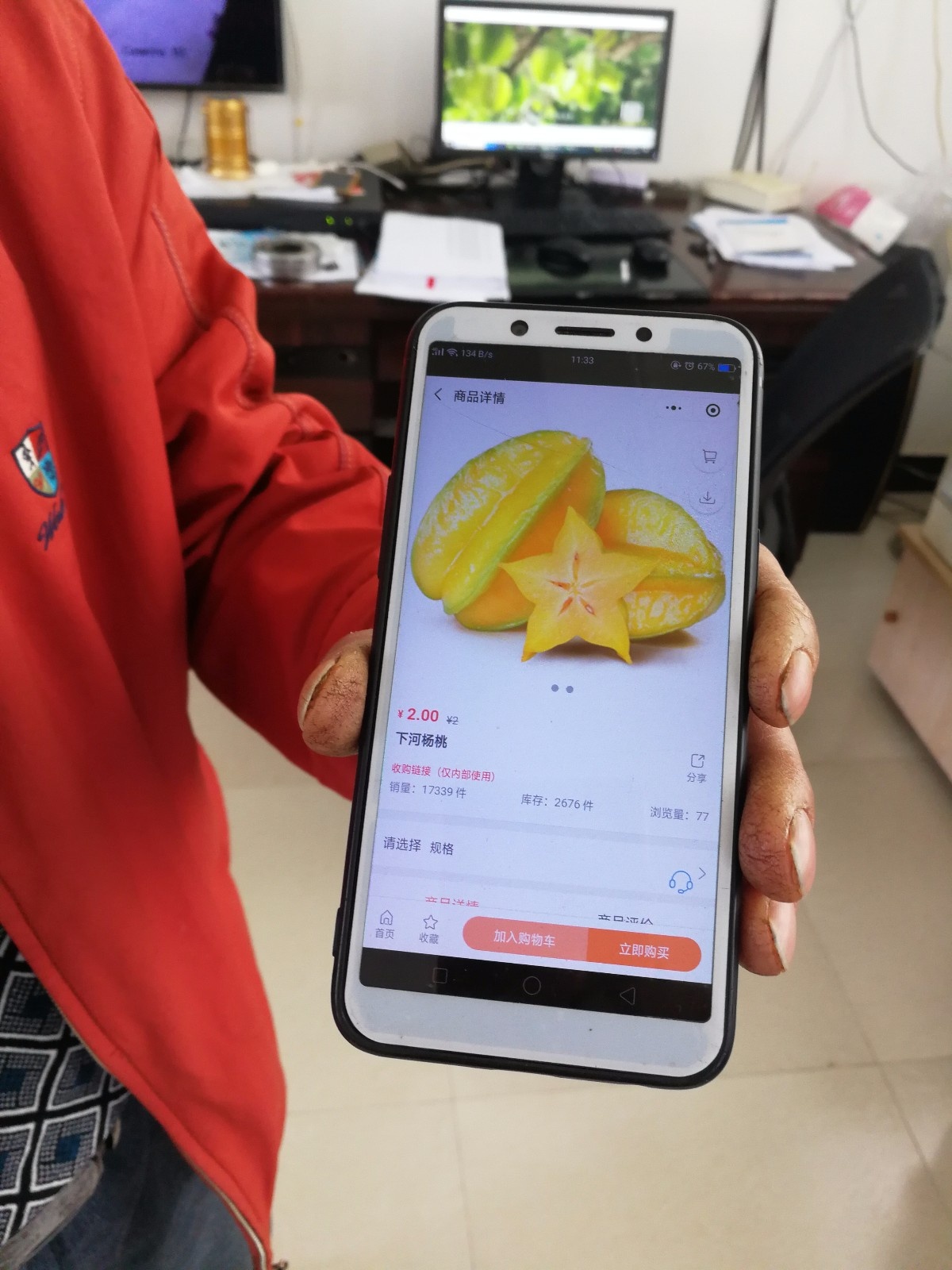 福建云霄小杨桃带动电商扶贫大产业-中国商网