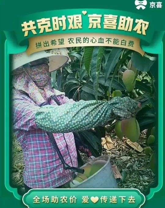 为滞销农产品打开销路 京东京喜上线“京喜助农”会场_零售_电商报