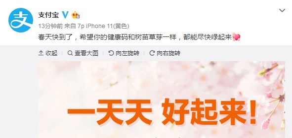 支付宝保障组进展：送达生活物资近万件，爱心餐15万份_金融_电商报