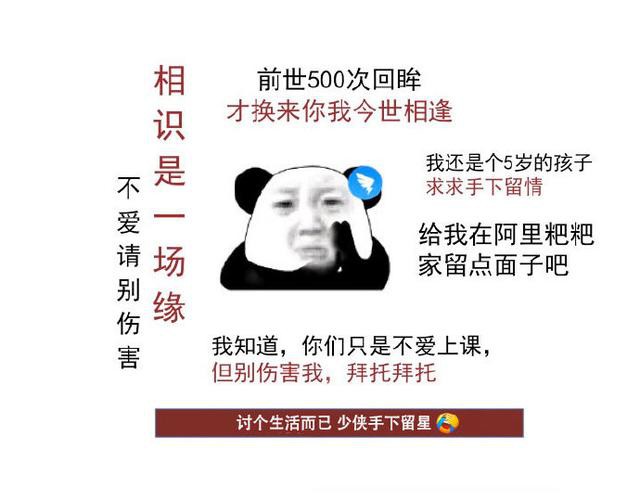 钉钉求饶！向来坚强的陈航，为何这次服软了？_人物_电商报