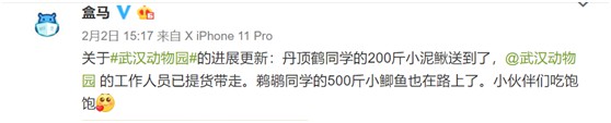 盒马的五次挺身而出，换来一次“开挂”机会！_零售_电商报