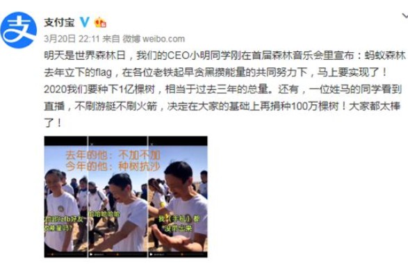 每年要种一亿棵树！退休后的马云有多忙？_行业观察_电商报
