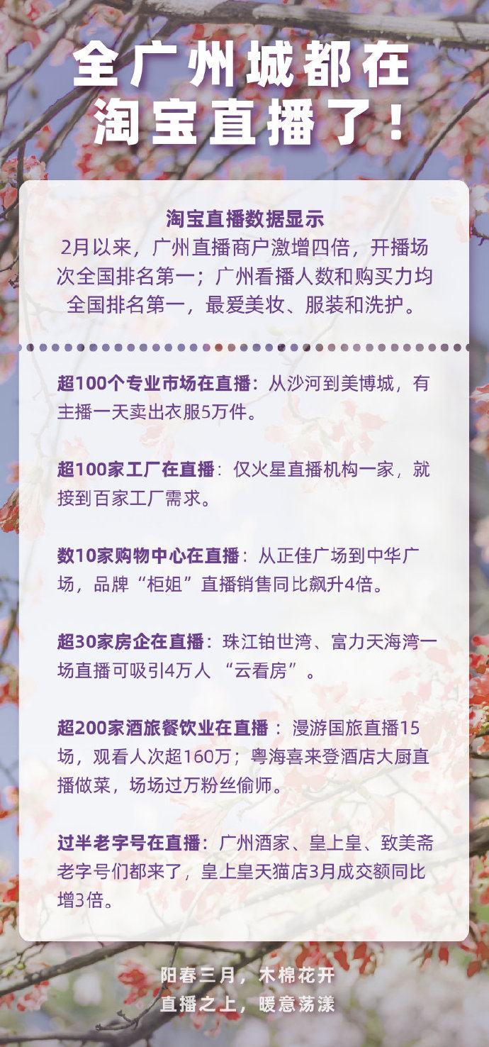 淘宝直播数据：2月以来广州直播商户激增四倍_零售_电商报