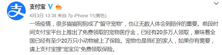 支付宝：已有20多万人领取宠物医疗保险_金融_电商报