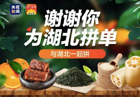 “小朱配琦”高能带货 央媒携手电商共助湖北_零售_电商报