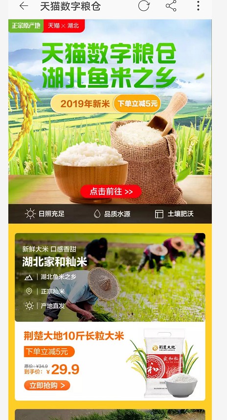 阿里发布“数字粮仓”计划 将在八个省区建设100个数字粮食基地_零售_电商报