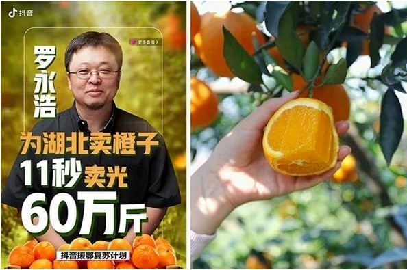 不分平台、不争一哥一姐，直播界全团压上为这个地方带货！_行业观察_电商报