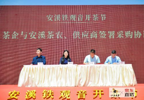 2020京东铁观音开茶节盛大举行 10万+茶友“云游览”大美茶山_行业观察_电商报