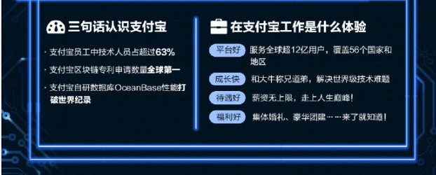 支付宝公开招聘 技术人员占比超过63%_金融_电商报