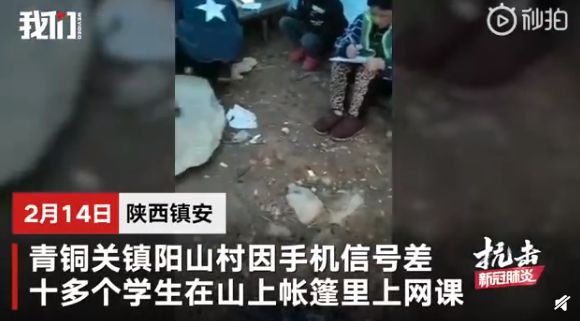 被误解的丁磊，迷茫的少儿编程_行业观察_电商报