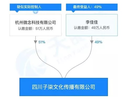 李子柒凭什么年入1.6亿？_行业观察_电商报