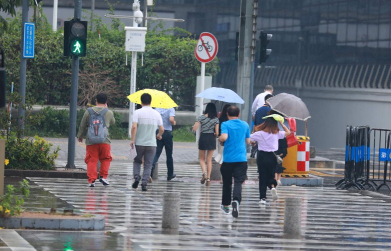 苏宁梅雨季大数据：雨具销量增长55.61%_零售_电商报
