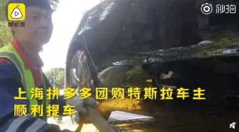 特斯拉拼多多的战争里,那个薅了羊毛的消费者是唯一输家_行业观察_电商报