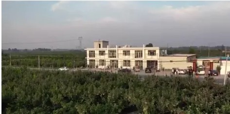 5年前，这个村每家年入不足2万，5年后，村支书带头创业，全村年入6000万！_行业观察_电商报