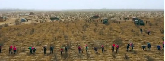 快递业内卷，绿色快递何处安家_行业观察_电商报