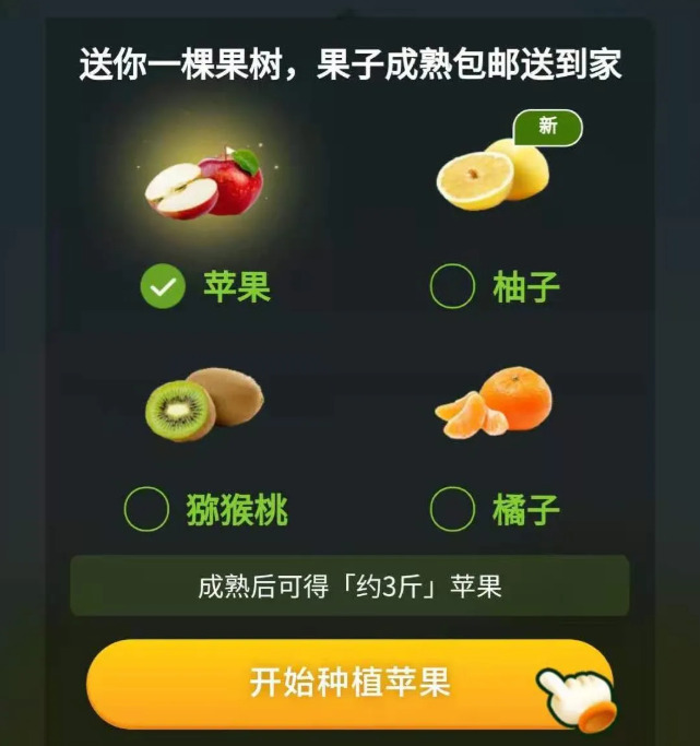 终于盈利的拼多多，其实是家广告公司_行业观察_电商报