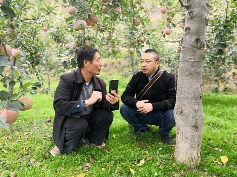 图：在甘肃礼县，阿里乡村特派员尹贻盼和农民主播张加成大爷讨论直播方案